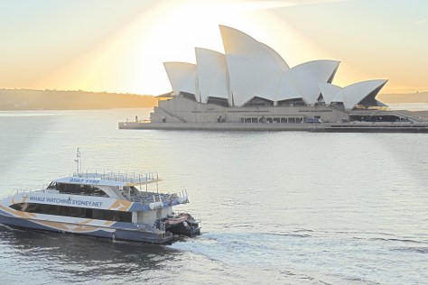 The ultimate spotlight puts a shine on the star attraction of Sydney harbor as an early ferry starts its day of runs across the water.