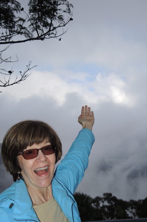 Disbelief had set in that we could see the sun, the Blue Mountains, or even a speck of blue sky, then there it was! Betsy rejoiced. By the time she turned around it was gone, but the camera doesn't lie.