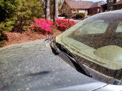 Pine-Pollen-Car-Coating-Resized-816x612
