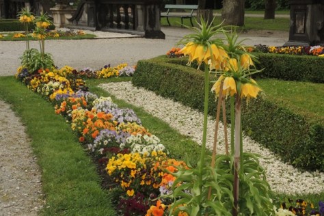Mirabell Gardens' "Crown of the Emperor"