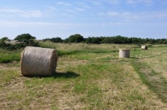 Haystacks at the coast of Normandy