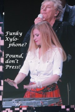 Rod Stewart Xylophone?