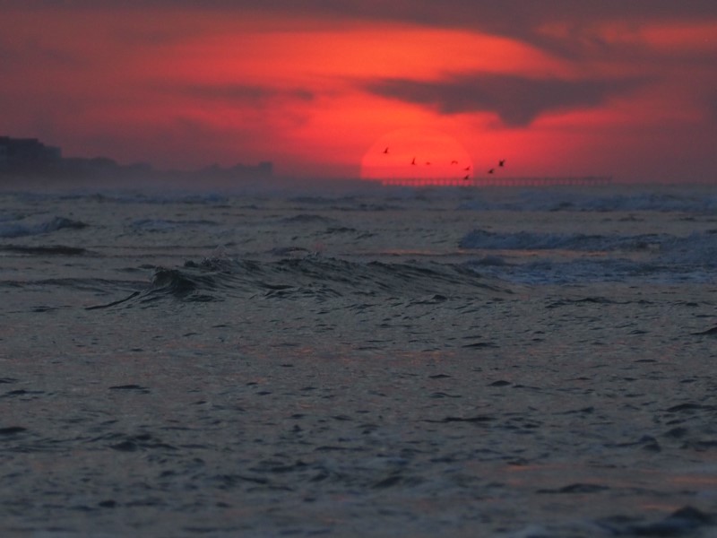 Alt: June 27, 2020, the birds are up