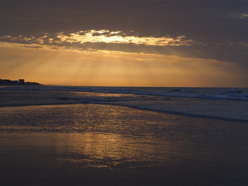 Alt: Rays of the day